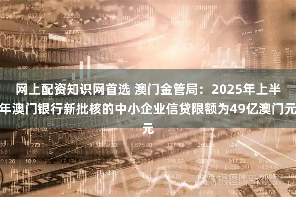 网上配资知识网首选 澳门金管局:2025年上半年澳门银行新批核的中小企业信贷限额为49亿澳门元